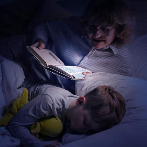 Book Light with Flat Bookmark Panel and Focused Warm LED, Rechargeable Valideals Outlet