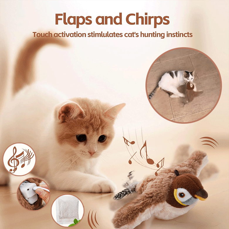 Interactive Cat Toy with Motion Sensor Chirps and Flap Tail, Rechargeable, Catnip Scent Valideals Outlet