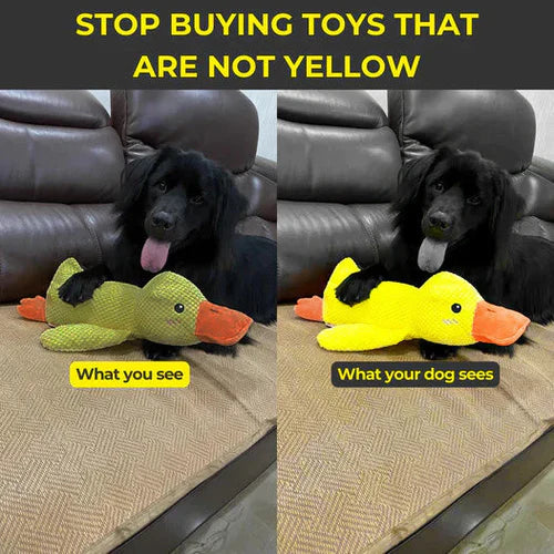 Squeaky Dog Toy with Low Quack Squeaker and Duck Plush Body, 25 x 22 Cm Valideals Outlet