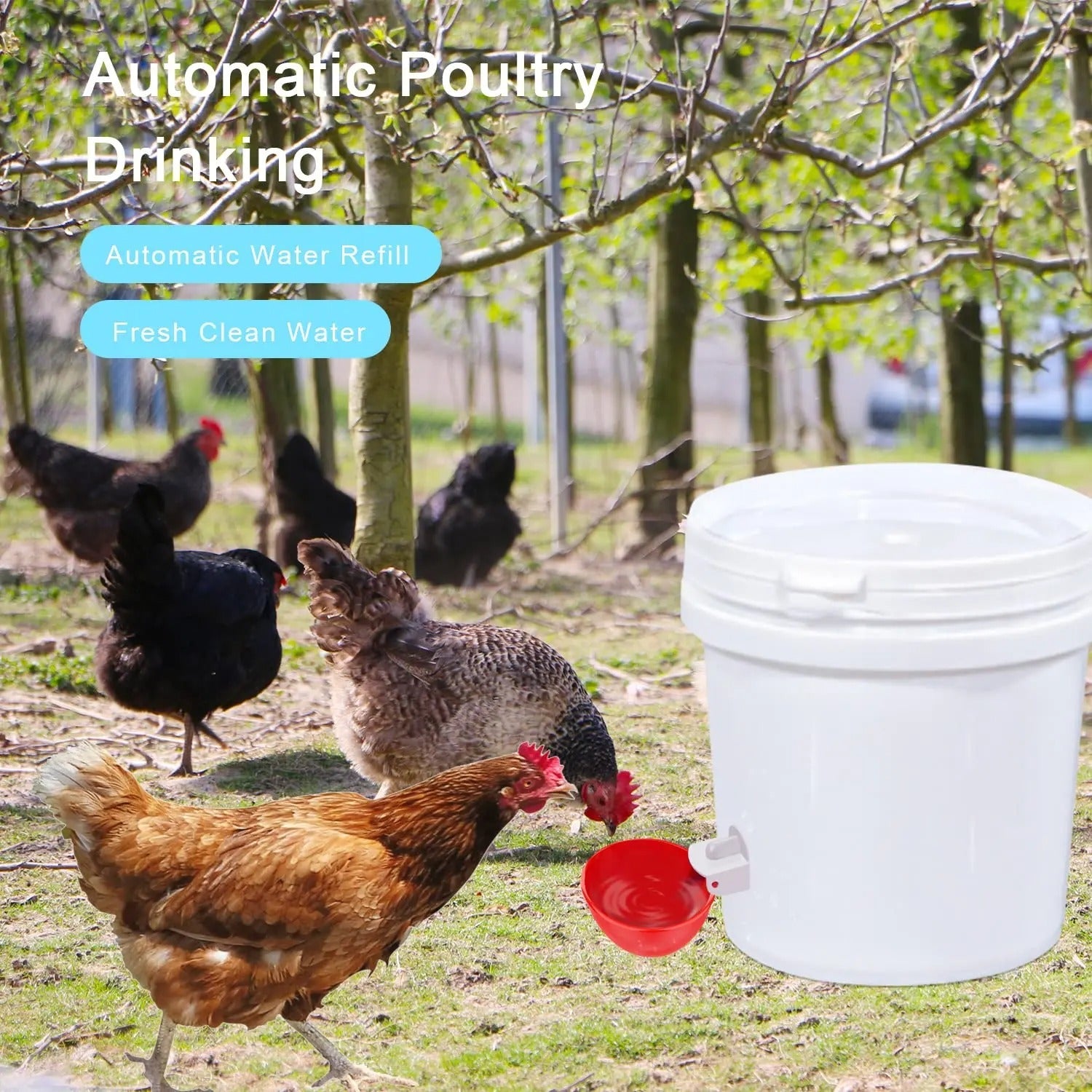 Gravity Fed Poultry Waterer with Spring Valve and Dual Rubber Seal, 10 Pack Valideals Outlet