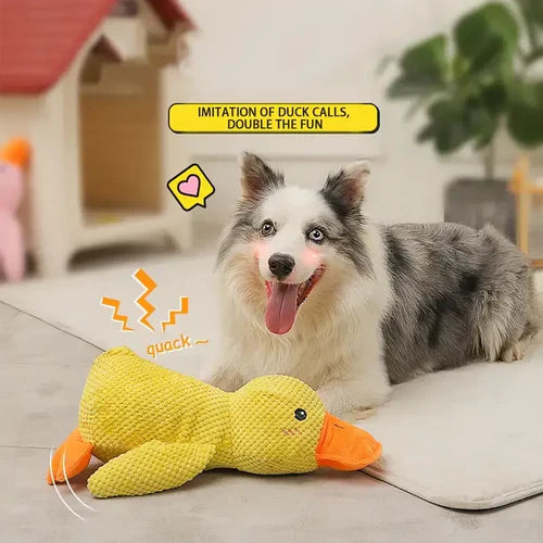 Squeaky Dog Toy with Low Quack Squeaker and Duck Plush Body, 25 x 22 Cm Valideals Outlet