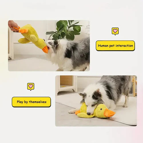 Squeaky Dog Toy with Low Quack Squeaker and Duck Plush Body, 25 x 22 Cm Valideals Outlet