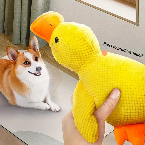 Squeaky Dog Toy with Low Quack Squeaker and Duck Plush Body, 25 x 22 Cm Valideals Outlet
