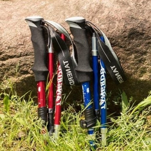 Telescoping Trekking Pole with Twist Lock and Aluminium Construction Valideals Outlet