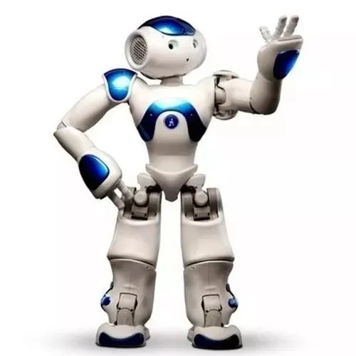 Interactive Humanoid Robot with 25 Degrees of Motion and Dual Cameras, App Remote Control Valideals Outlet