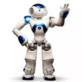 Remote Control Humanoid Robot with Dual Cameras and Voice Recognition, 25-Degree Movement Valideals Outlet