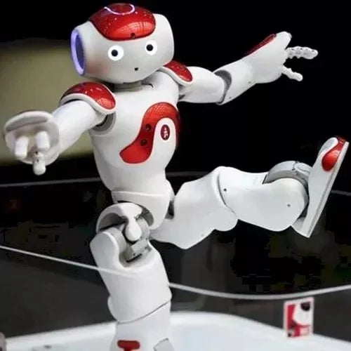 Interactive Humanoid Robot with 25 Degrees of Motion and Dual Cameras, App Remote Control Valideals Outlet
