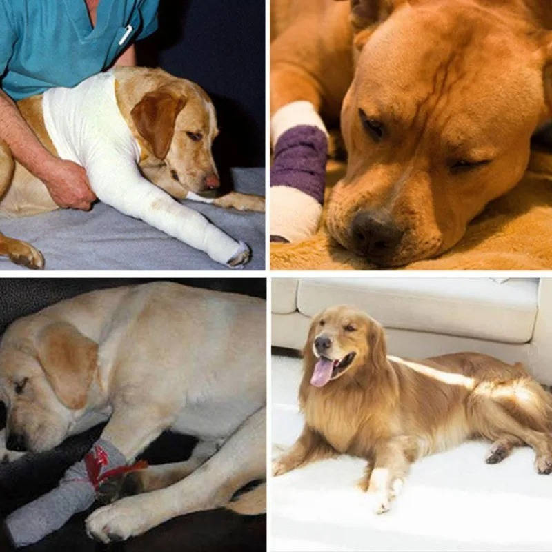 Dog Ankle Brace with Compression Support and Reflective Strips for Injury Recovery Valideals Outlet