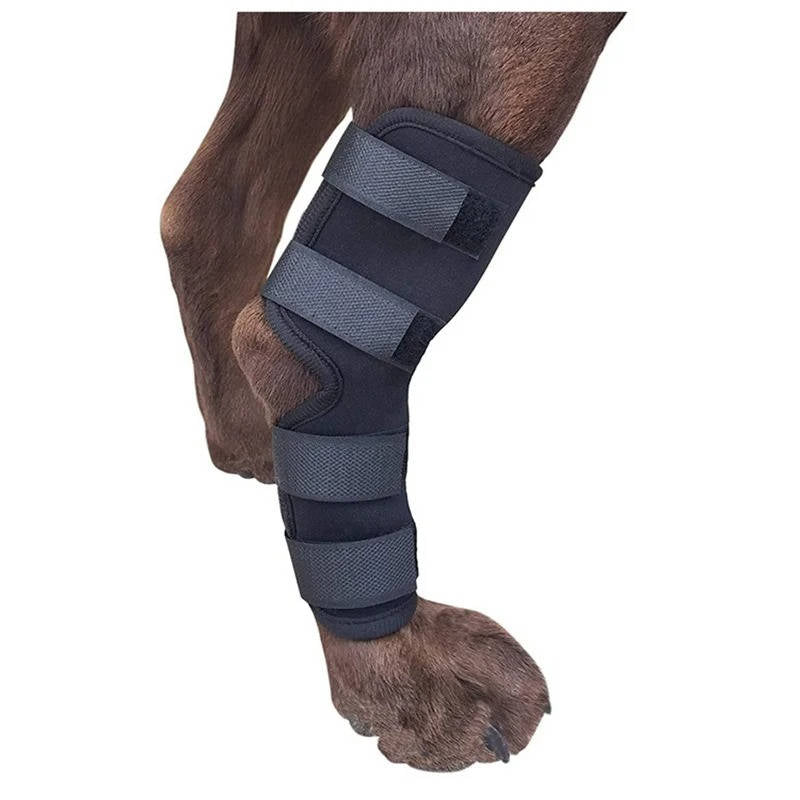 Dog Ankle Brace with Compression Support and Reflective Strips for Injury Recovery Valideals Outlet