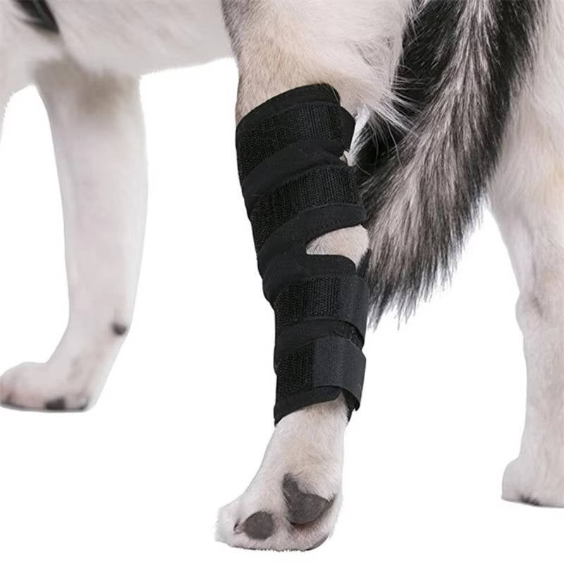 Dog Ankle Brace with Compression Support and Reflective Strips for Injury Recovery Valideals Outlet