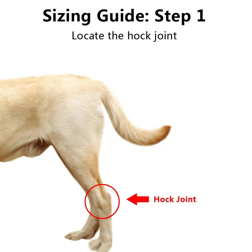 Dog Ankle Brace with Compression Support and Reflective Strips for Injury Recovery Valideals Outlet