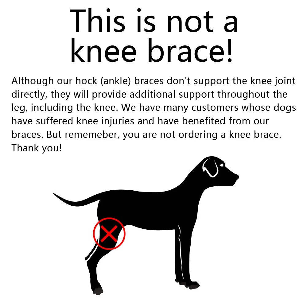 Dog Ankle Brace with Compression Support and Reflective Strips for Injury Recovery Valideals Outlet