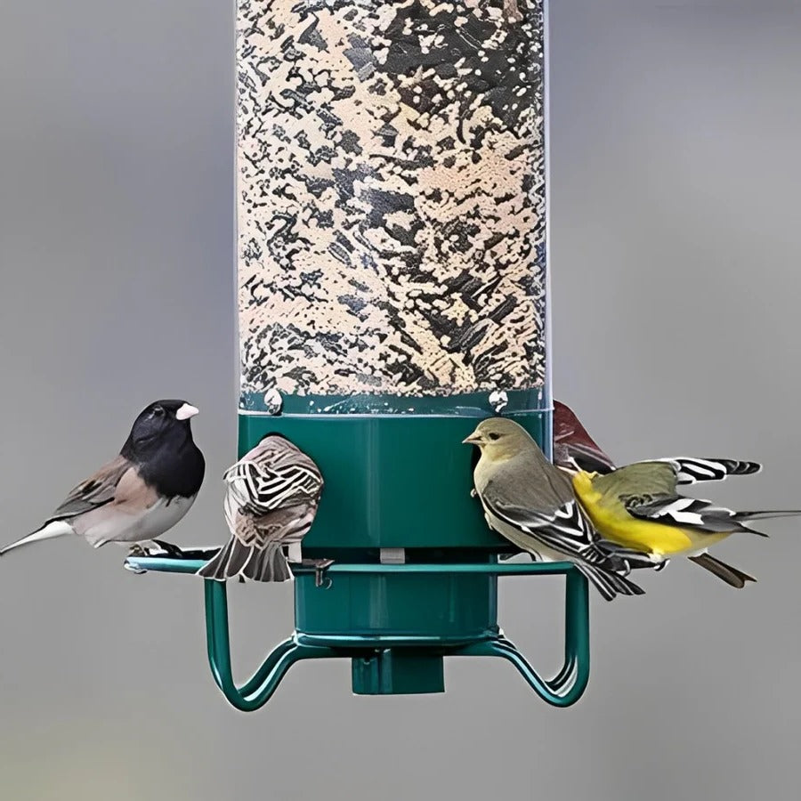 Squirrel Resistant Bird Feeder with Weight-Sensitive Perch and Four Feeding Ports, 5 lb Valideals Outlet