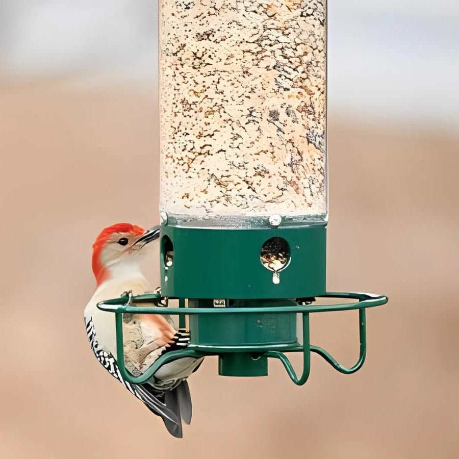 Squirrel Resistant Bird Feeder with Weight-Sensitive Perch and Four Feeding Ports, 5 lb Valideals Outlet