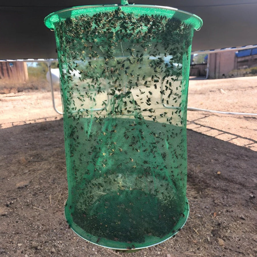 Fly Trap with Expandable Chamber and All-Natural Bait, Reusable 7 by 7 by 15 Inches Valideals Outlet