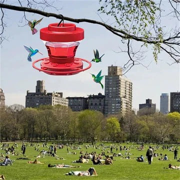 Hummingbird Feeder with Ant Moat and Micro Feeding Ports, 16oz Clear Reservoir Valideals Outlet