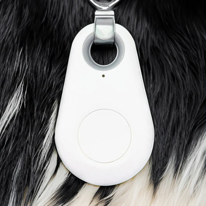 Pet GPS Tracker with Waterproof Design and 6-Month Standby, Coin-Size Tag Valideals Outlet