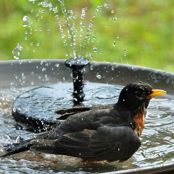 Solar Birdbath Fountain with 4 Spray Patterns and 7-Inch Floating Disk, Tool-Free Install Valideals Outlet