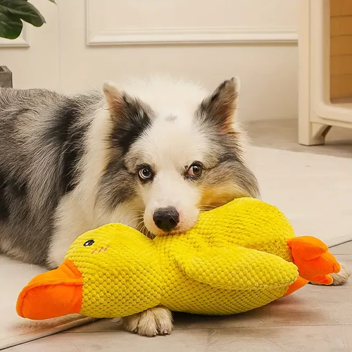 Squeaky Dog Toy with Low Quack Squeaker and Duck Plush Body, 25 x 22 Cm Valideals Outlet