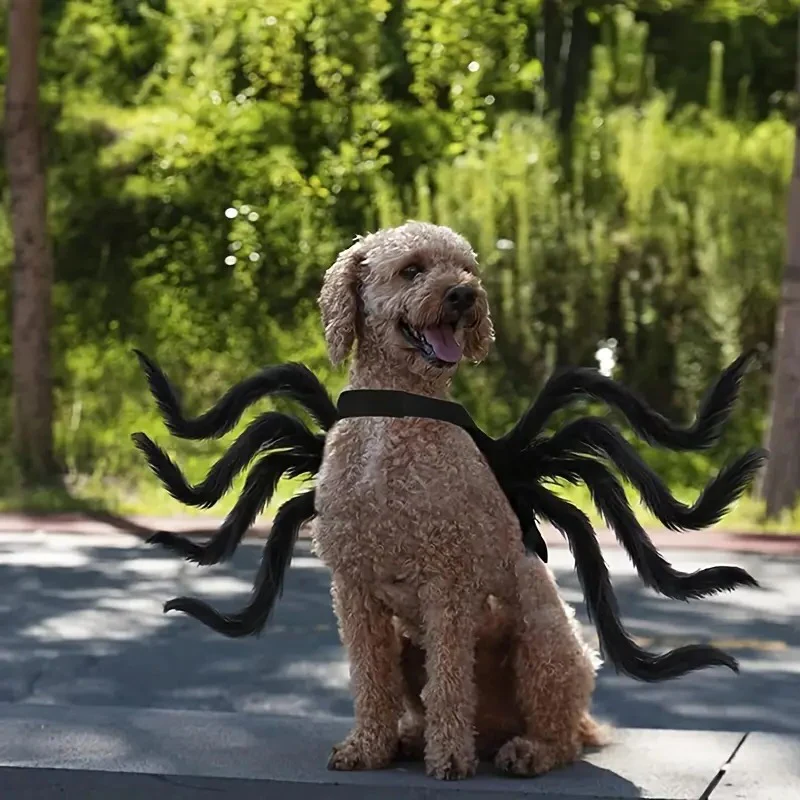 Dog Spider Costume with Sewn Realistic Legs and Cushioned Interior, Adjustable Fit Valideals Outlet