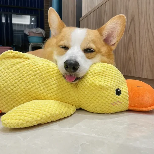 Squeaky Dog Toy with Low Quack Squeaker and Duck Plush Body, 25 x 22 Cm Valideals Outlet
