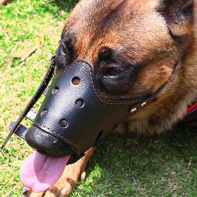 Adjustable Dog Muzzle with Mesh and Leather, Anti-Slip Design Valideals Outlet