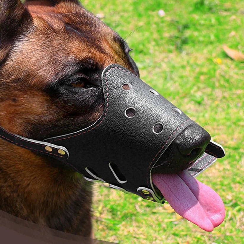 Adjustable Dog Muzzle with Mesh and Leather, Anti-Slip Design Valideals Outlet