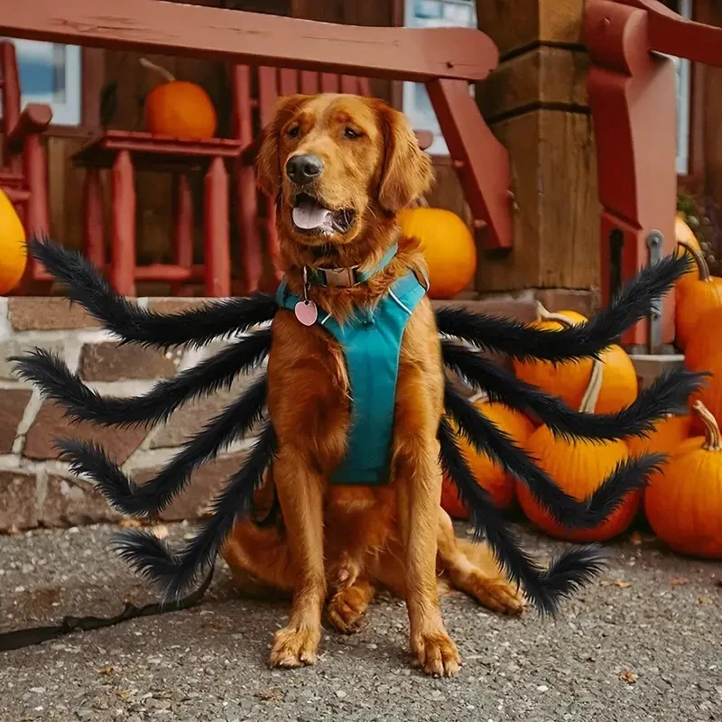 Dog Spider Costume with Sewn Realistic Legs and Cushioned Interior, Adjustable Fit Valideals Outlet