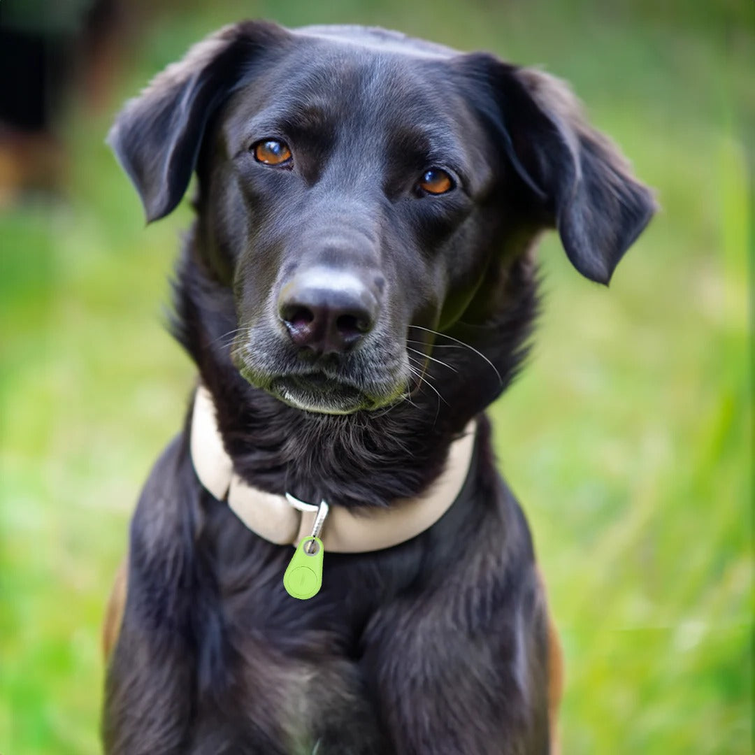 Pet GPS Tracker with Waterproof Design and 6-Month Standby, Coin-Size Tag Valideals Outlet