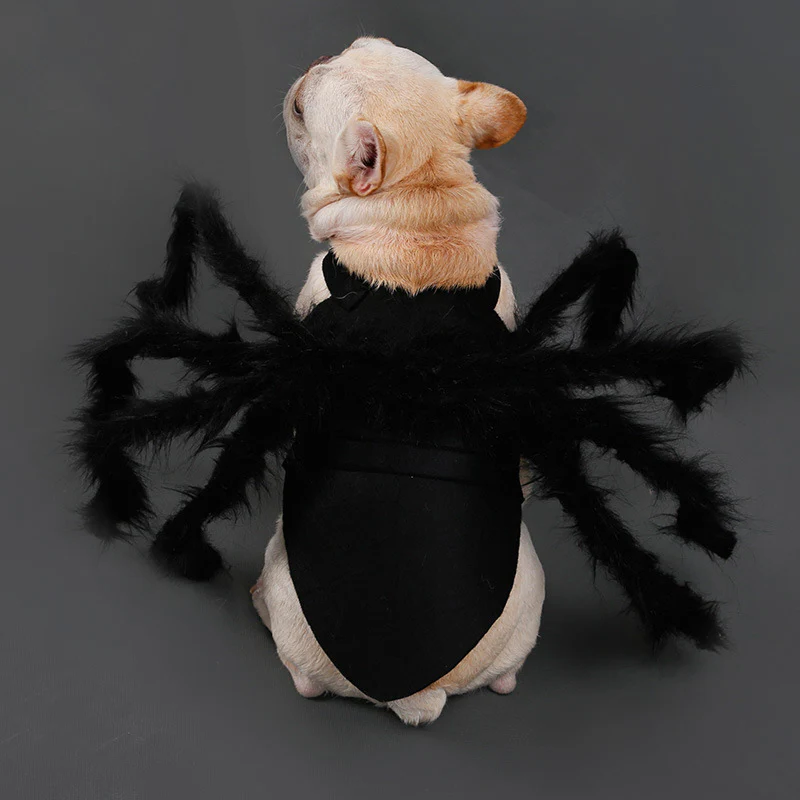 Dog Spider Costume with Sewn Realistic Legs and Cushioned Interior, Adjustable Fit Valideals Outlet