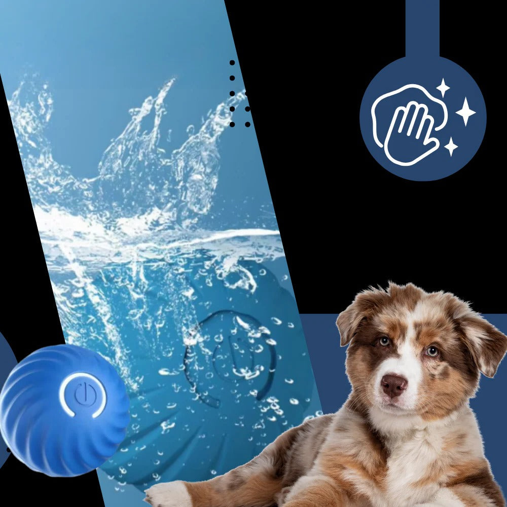 Self-Rolling Dog Ball with Obstacle Avoidance and Rechargeable Battery Valideals Outlet
