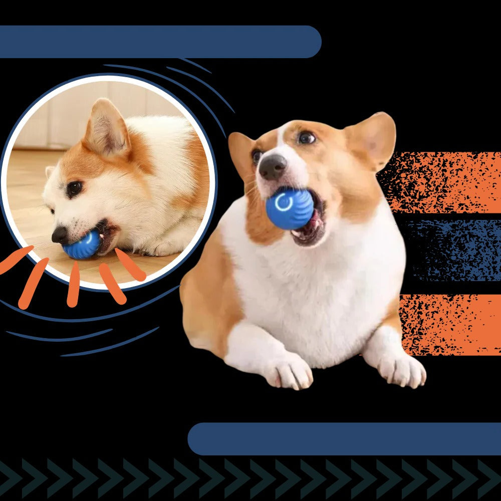 Self-Rolling Dog Ball with Obstacle Avoidance and Rechargeable Battery Valideals Outlet
