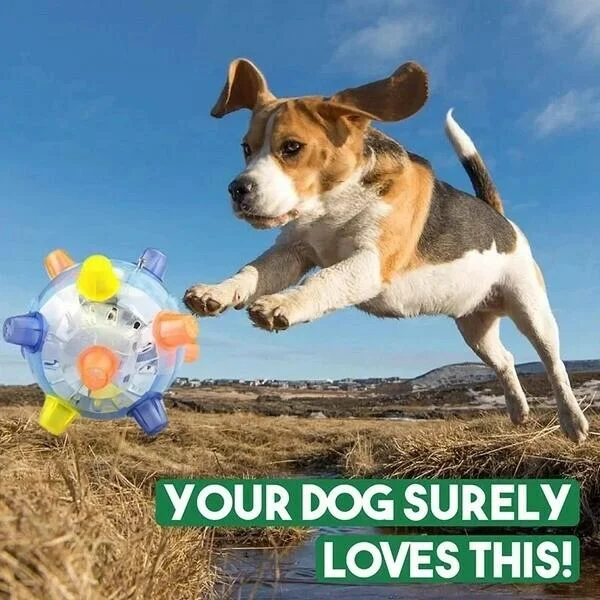 Motion Activated Dog Toy with Hopping Action and LED Lights for Small to Medium Dogs Valideals Outlet