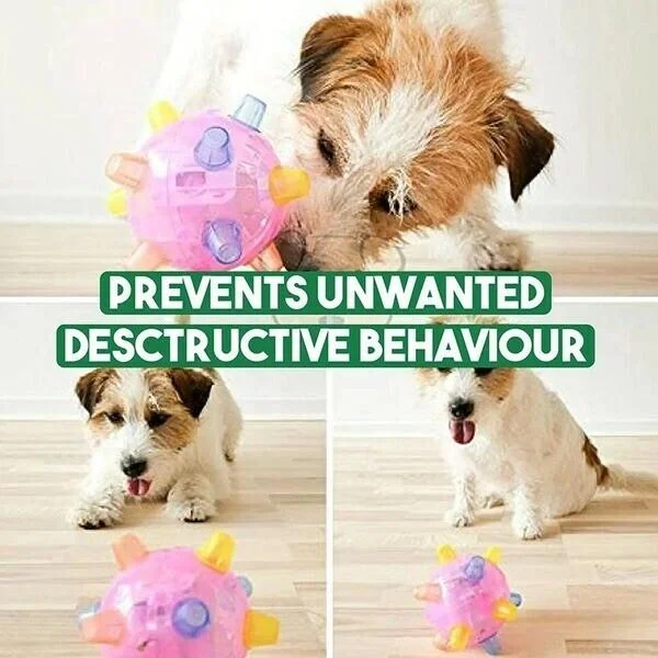 Motion Activated Dog Toy with Hopping Action and LED Lights for Small to Medium Dogs Valideals Outlet