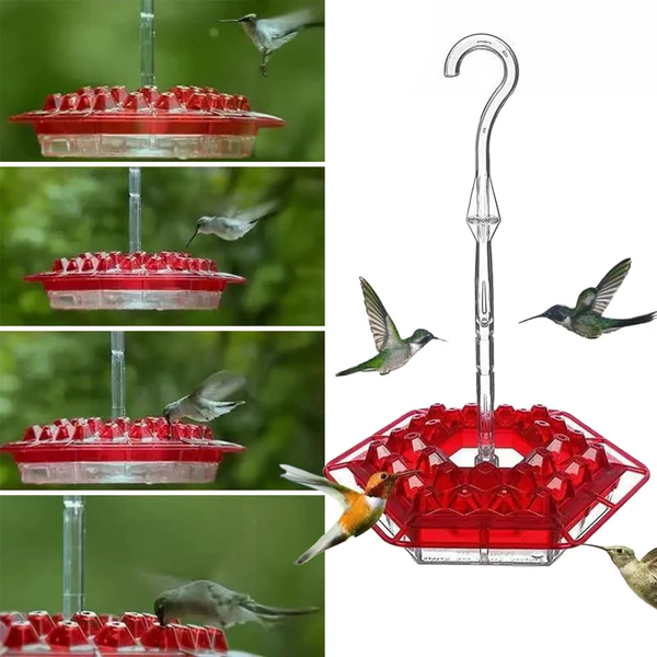 Hummingbird Feeder with Ant Moat and 30 Bee-Resistant Ports Valideals Outlet