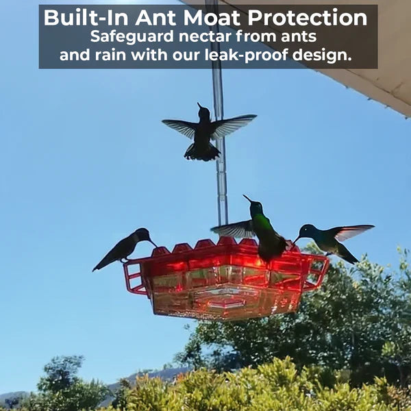 Hummingbird Feeder with Ant Moat and 30 Bee-Resistant Ports Valideals Outlet
