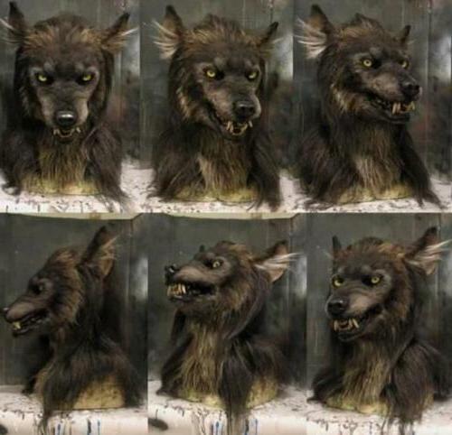 Realistic Wolf Mask with Hand-Applied Hair and Adjustable Foam Fit, Full-Head Silicone Valideals Outlet