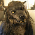 Realistic Wolf Mask with Hand-Applied Hair and Adjustable Foam Fit, Full-Head Silicone Valideals Outlet