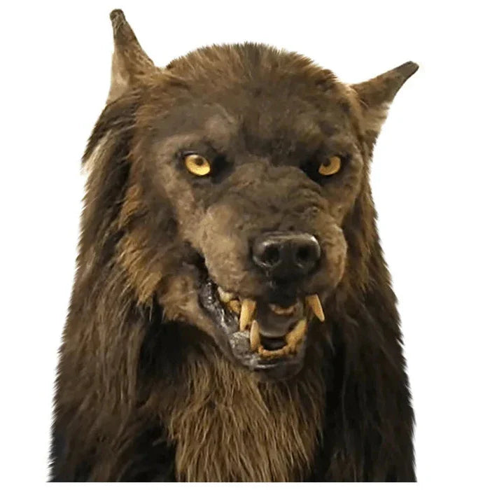 Realistic Wolf Mask with Hand-Applied Hair and Adjustable Foam Fit, Full-Head Silicone Valideals Outlet